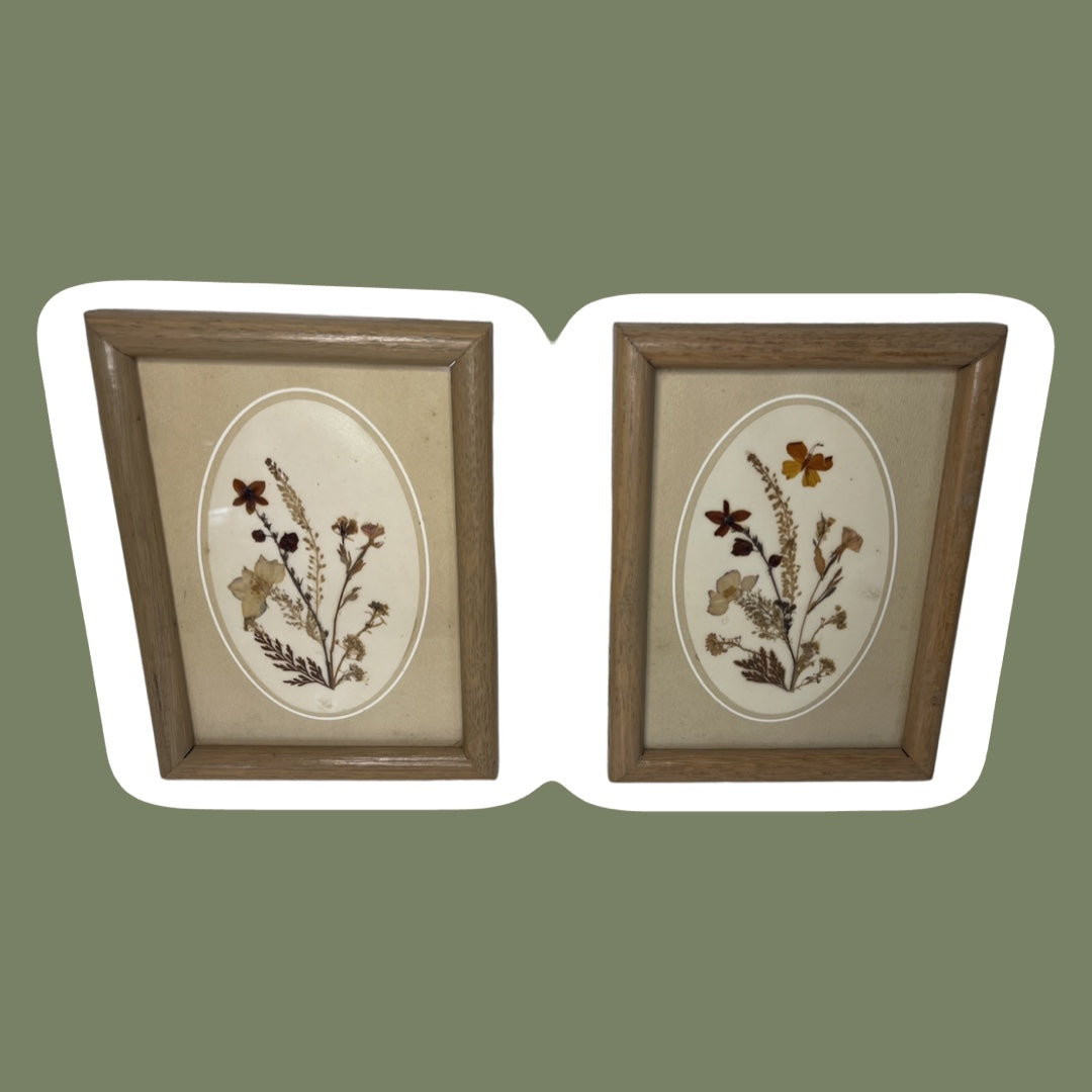 Arte de pared enmarcado con flores prensadas, juego de 2
