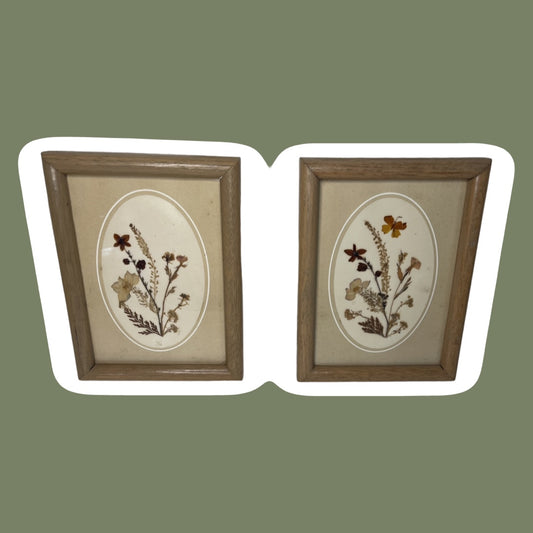 Pressed Flower Framed Wall Art, Set of 2
