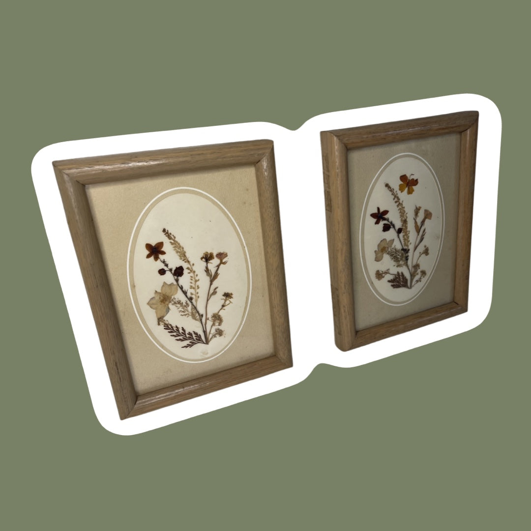 Arte de pared enmarcado con flores prensadas, juego de 2