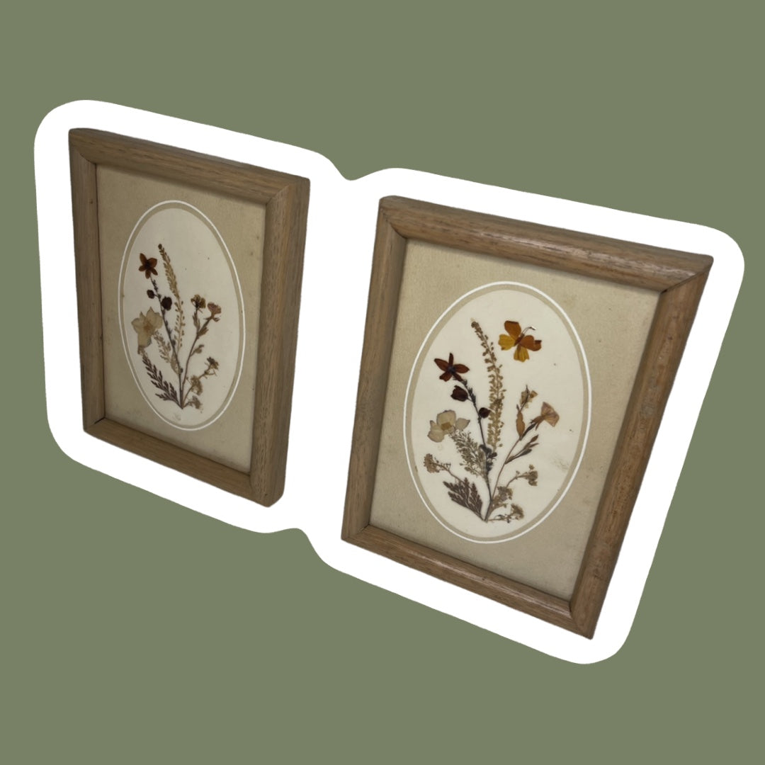 Arte de pared enmarcado con flores prensadas, juego de 2