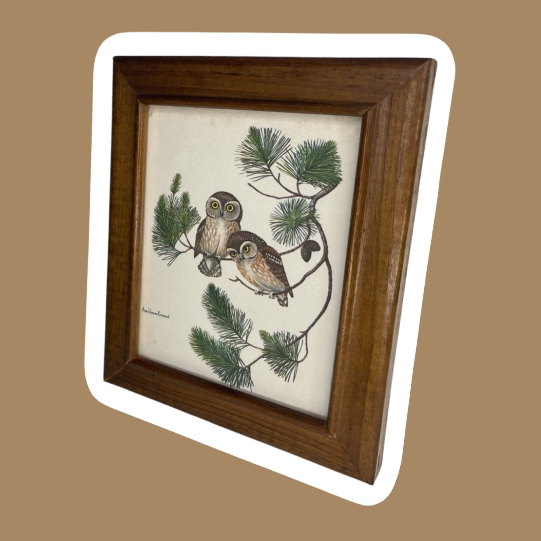 Tarjeta de felicitación enmarcada de pared con búho en el árbol, 'Anne Worsham Richardson' Saw-Whet Owl 1972