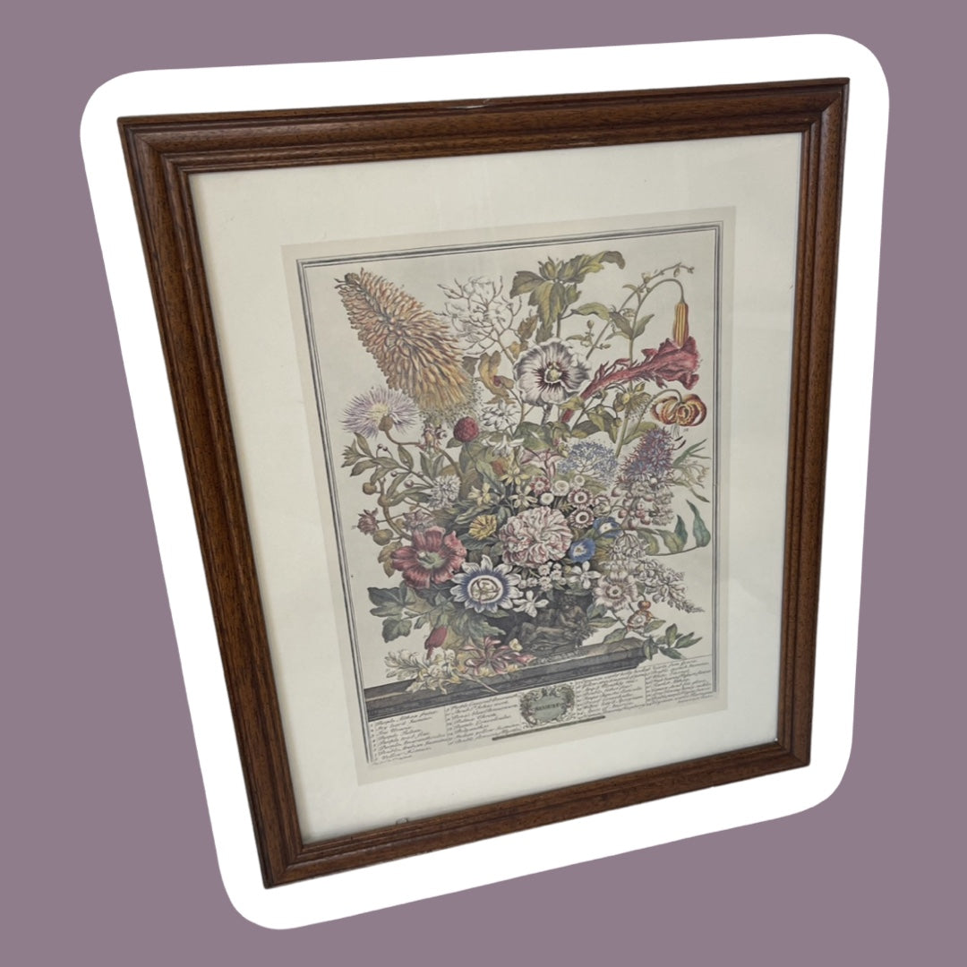 Robert Furber 'Doce meses de flores', edición de agosto