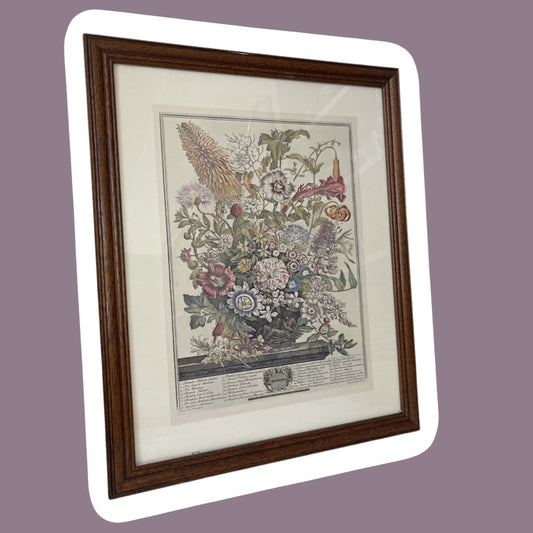 Robert Furber ‘Twelve Months of Flowers’, August Edition Print