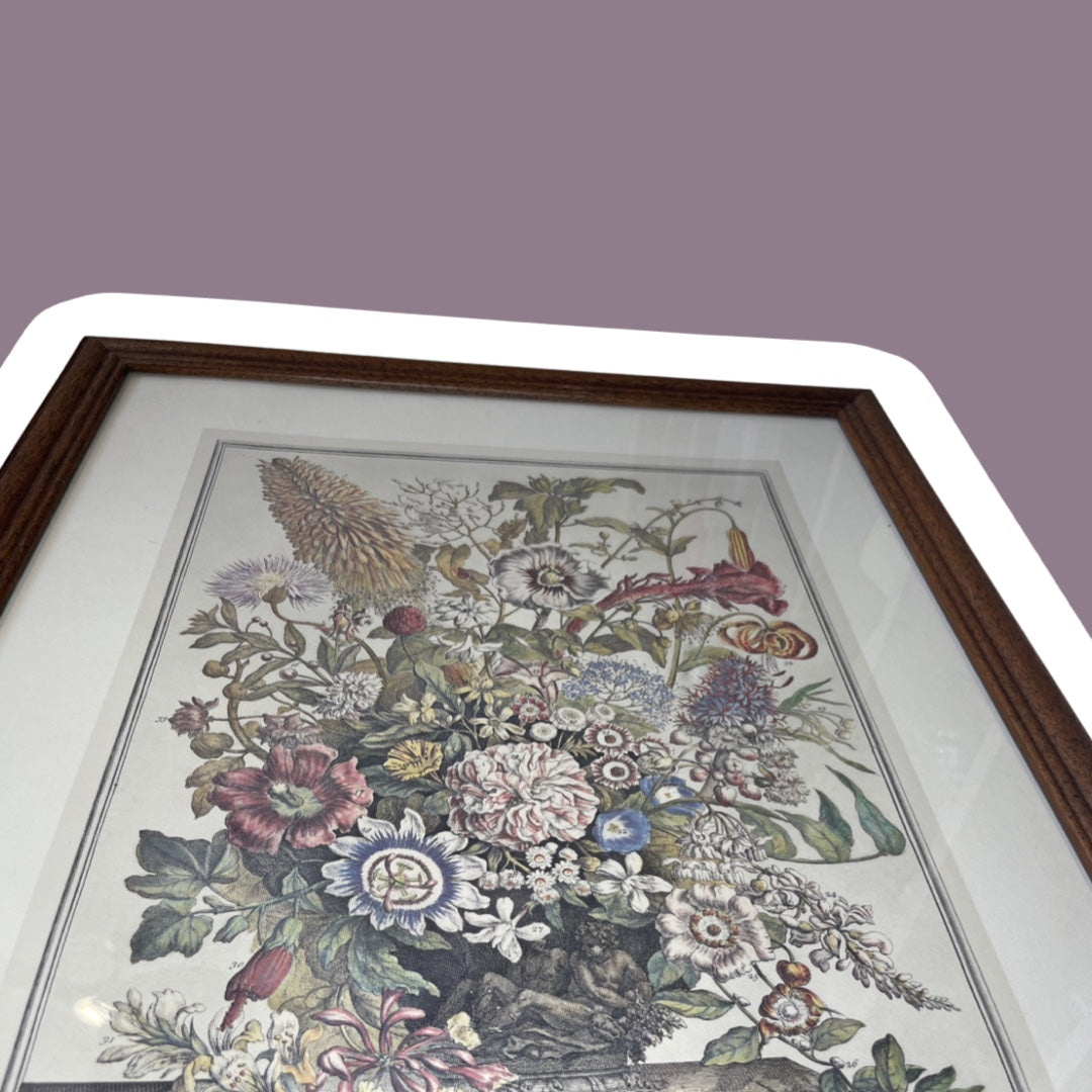 Robert Furber 'Doce meses de flores', edición de agosto