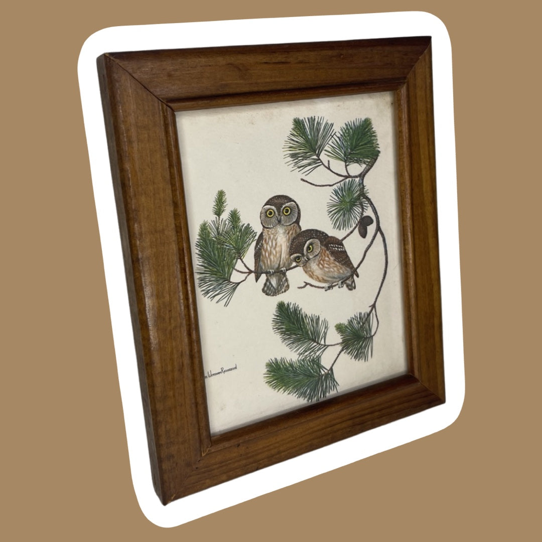 Owl In Tree ‘Anne Worsham Richardson’ Saw-Whet Owl 1972 Framed Greeting Card Wall Art